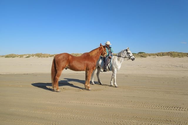 Horseback Ride on the Beach & Alcatraz Tour in San Francisco  - Photo 1 of 25